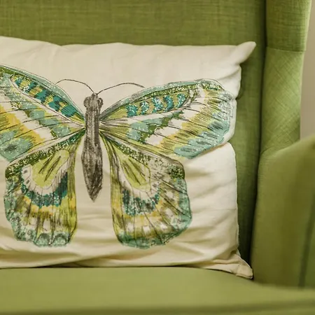 Beautiful In Heart Of Historical Center 公寓 蒂米什瓦拉